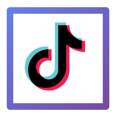 TikTok Widget